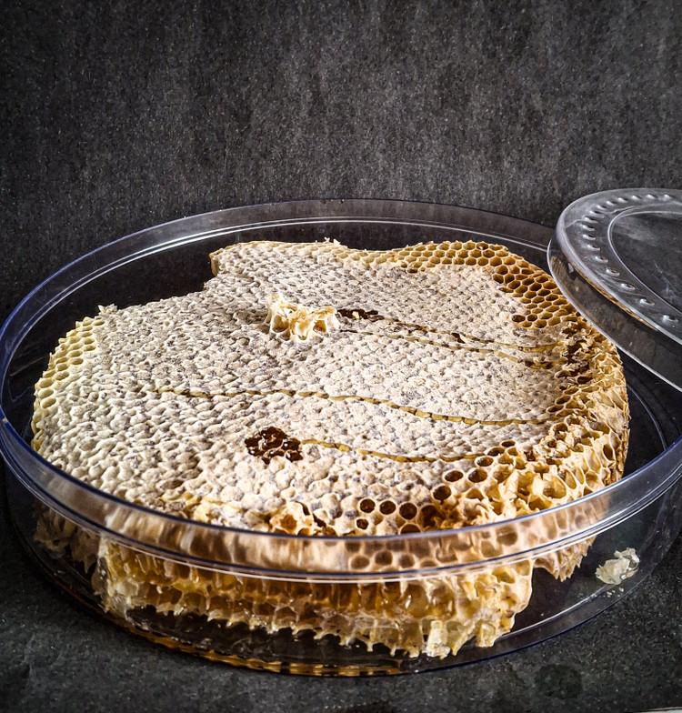 عسل موم درجه 1 شهتاک