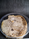 عسل موم درجه 1 شهتاک
